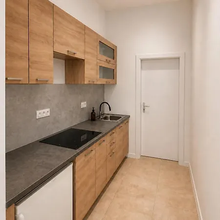 Colonnade Studio, דירה קרלובי וארי